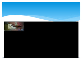 11/10/2016Duvan Mateo Bustos Porras 10
 