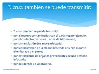  T. cruzi también se puede transmitir:
 por alimentos contaminados con el parásito; por ejemplo,
por el contacto con heces u orina de triatomíneo;
 por la transfusión de sangre infectada;
 por la transmisión de la madre infectada a su hijo durante
el embarazo o el parto;
 por el trasplanté de órganos provenientes de una persona
infectada;
 por accidentes de laboratorio.
T. cruzi también se puede transmitir:
11/10/2016Duvan Mateo Bustos Porras 6
 