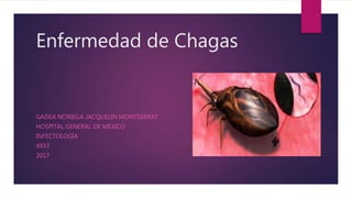 Enfermedad de Chagas
GADEA NORIEGA JACQUELIN MONTSERRAT
HOSPITAL GENERAL DE MÉXICO
INFECTOLOGÍA
4933
2017
 
