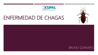 ENFERMEDAD DE CHAGAS
BRUNO QUINUPES
 