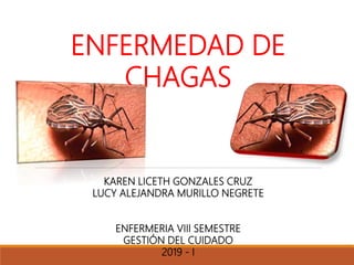 ENFERMEDAD DE
CHAGAS
KAREN LICETH GONZALES CRUZ
LUCY ALEJANDRA MURILLO NEGRETE
ENFERMERIA VIII SEMESTRE
GESTIÓN DEL CUIDADO
2019 - I
 