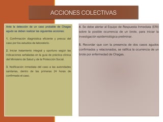 ACCIONESCOLECTIVAS
4. Se debe alertar al Equipo de Respuesta Inmediata (ERI)
sobre la posible ocurrencia de un brote, para iniciar la
investigación epidemiológica preliminar.
5. Recordar que con la presencia de dos casos agudos
confirmados y relacionados, se ratifica la ocurrencia de un
brote por enfermedad de Chagas.
Ante la detección de un caso probable de Chagas
agudo se deben realizar las siguientes acciones:
1. Confirmación diagnóstica eficiente y precoz del
caso por los estudios de laboratorio.
2. Iniciar tratamiento integral y oportuno según las
indicaciones señaladas en la guía de práctica clínica
del Ministerio de Salud y de la Protección Social.
3. Notificación inmediata del caso a las autoridades
sanitarias, dentro de las primeras 24 horas de
confirmado el caso.
 