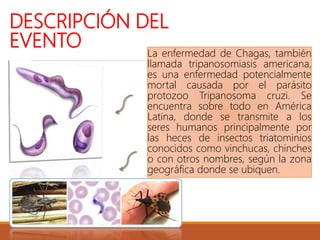 DESCRIPCIÓN DEL
EVENTO La enfermedad de Chagas, también
llamada tripanosomiasis americana,
es una enfermedad potencialmente
mortal causada por el parásito
protozoo Tripanosoma cruzi. Se
encuentra sobre todo en América
Latina, donde se transmite a los
seres humanos principalmente por
las heces de insectos triatominios
conocidos como vinchucas, chinches
o con otros nombres, según la zona
geográfica donde se ubiquen.
 