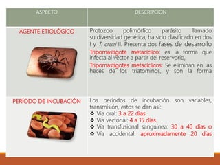 ASPECTO DESCRIPCION
AGENTE ETIOLÓGICO Protozoo polimórfico parásito llamado
su diversidad genética, ha sido clasificado en dos
I y T. cruzi II. Presenta dos fases de desarrollo
Tripomastigote metacíclico: es la forma que
infecta al vector a partir del reservorio,
Tripomastigotes metacíclicos: Se eliminan en las
heces de los triatominos, y son la forma
PERÍODO DE INCUBACIÓN Los períodos de incubación son variables,
transmisión, estos se dan así:
 Vía oral: 3 a 22 días
 Vía vectorial: 4 a 15 días.
 Vía transfusional sanguínea: 30 a 40 días o
 Vía accidental: aproximadamente 20 días
 