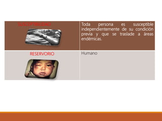 SUSCEPTIBILIDAD Toda persona es susceptible
independientemente de su condición
previa y que se traslade a áreas
endémicas.
RESERVORIO Humano
 
