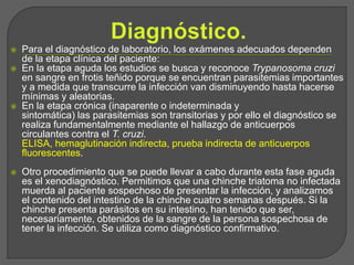  Para el diagnóstico de laboratorio, los exámenes adecuados dependen
de la etapa clínica del paciente:
 En la etapa aguda los estudios se busca y reconoce Trypanosoma cruzi
en sangre en frotis teñido porque se encuentran parasitemias importantes
y a medida que transcurre la infección van disminuyendo hasta hacerse
mínimas y aleatorias.
 En la etapa crónica (inaparente o indeterminada y
sintomática) las parasitemias son transitorias y por ello el diagnóstico se
realiza fundamentalmente mediante el hallazgo de anticuerpos
circulantes contra el T. cruzi.
ELISA, hemaglutinación indirecta, prueba indirecta de anticuerpos
fluorescentes.
 Otro procedimiento que se puede llevar a cabo durante esta fase aguda
es el xenodiagnóstico. Permitimos que una chinche triatoma no infectada
muerda al paciente sospechoso de presentar la infección, y analizamos
el contenido del intestino de la chinche cuatro semanas después. Si la
chinche presenta parásitos en su intestino, han tenido que ser,
necesariamente, obtenidos de la sangre de la persona sospechosa de
tener la infección. Se utiliza como diagnóstico confirmativo.
 
