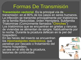 Transmisión vectorial. Es la principal vía de
transmisión: en el 80% de los casos en seres humanos.
La infección se transmite principalmente por triatóminos
de la familia Reduviidae, orden Hemiptera, Subfamilia
Triatominae (Comúnmente llamados “Chinches”)
Los triatóminos que se encuentran en grietas y ranuras
de viviendas se alimentan de sangre, habitualmente por
la noche. Durante la picadura defecan en la piel del
hospedero.
En las heces del insecto se encuentran
los tripomastigotes metacíclicos, que
penetran por rascado o frotamiento del
mismo hospedero,
ya sea en el sitio de la picadura,
lesiones de continuidad.
 