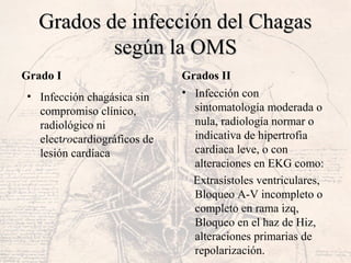 Grados de infección del ChagasGrados de infección del Chagas
según la OMSsegún la OMS
Grado I
• Infección chagásica sin
compromiso clínico,
radiológico ni
electrocardiográficos de
lesión cardíaca
Grados II
• Infección con
sintomatología moderada o
nula, radiología normar o
indicativa de hipertrofia
cardiaca leve, o con
alteraciones en EKG como:
Extrasístoles ventriculares,
Bloqueo A-V incompleto o
completo en rama izq,
Bloqueo en el haz de Hiz,
alteraciones primarias de
repolarización.
 