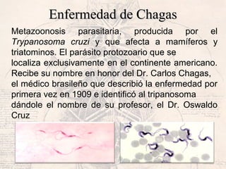 Enfermedad de ChagasEnfermedad de Chagas
Metazoonosis parasitaria, producida por el
Trypanosoma cruzi y que afecta a mamíferos y
triatominos. El parásito protozoario que se
localiza exclusivamente en el continente americano.
Recibe su nombre en honor del Dr. Carlos Chagas,
el médico brasileño que describió la enfermedad por
primera vez en 1909 e identificó al tripanosoma
dándole el nombre de su profesor, el Dr. Oswaldo
Cruz
 