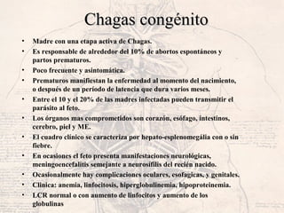 Chagas congénitoChagas congénito
• Madre con una etapa activa de Chagas.
• Es responsable de alrededor del 10% de abortos espontáneos y
partos prematuros.
• Poco frecuente y asintomática.
• Prematuros manifiestan la enfermedad al momento del nacimiento,
o después de un período de latencia que dura varios meses.
• Entre el 10 y el 20% de las madres infectadas pueden transmitir el
parásito al feto.
• Los órganos mas comprometidos son corazón, esófago, intestinos,
cerebro, piel y ME.
• El cuadro clínico se caracteriza por hepato-esplenomegália con o sin
fiebre.
• En ocasiones el feto presenta manifestaciones neurológicas,
meningoencefalitis semejante a neurosífilis del recién nacido.
• Ocasionalmente hay complicaciones oculares, esofagicas, y genitales.
• Clinica: anemia, linfocitosis, hiperglobulinemia, hipoproteinemia.
• LCR normal o con aumento de linfocitos y aumento de los
globulinas
 