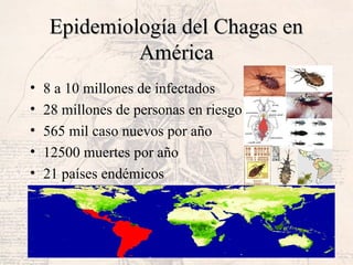 Epidemiología del Chagas enEpidemiología del Chagas en
AméricaAmérica
• 8 a 10 millones de infectados
• 28 millones de personas en riesgo
• 565 mil caso nuevos por año
• 12500 muertes por año
• 21 países endémicos
 
