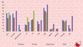 0
10
20
30
40
50
60
70
80
90
100
Urbana Rural Hipertensos SCA
 