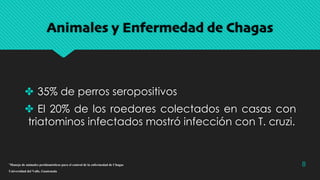 Animales y Enfermedad de Chagas
✤ 35% de perros seropositivos
✤ El 20% de los roedores colectados en casas con
triatominos infectados mostró infección con T. cruzi.
8¨Manejo de animales peridomésticos para el control de la enfermedad de Chagas
Universidad del Valle, Guatemala
 
