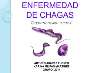 ENFERMEDAD
 DE CHAGAS
 Trypanosoma cruzi




  ARTURO JUÁREZ FLORES
  KARINA MILPAS MARTÍNEZ
       GRUPO: 2214
 