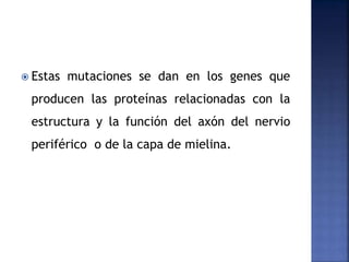  Estas mutaciones se dan en los genes que
producen las proteínas relacionadas con la
estructura y la función del axón del nervio
periférico o de la capa de mielina.
 