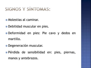  Molestias al caminar.
 Debilidad muscular en pies.
 Deformidad en pies: Pie cavo y dedos en
martillo.
 Degeneración muscular.
 Pérdida de sensibilidad en: pies, piernas,
manos y antebrazos.
 