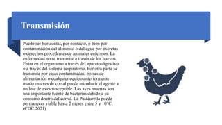 Transmisión
Puede ser horizontal, por contacto, o bien por
contaminación del alimento o del agua por excretas
o desechos procedentes de animales enfermos. La
enfermedad no se transmite a través de los huevos.
Entra en el organismo a través del aparato digestivo
o a través del sistema respiratorio. Por otra parte se
transmite por cajas contaminadas, bolsas de
alimentación o cualquier equipo anteriormente
usado en aves de corral puede introducir el agente a
un lote de aves susceptible. Las aves muertas son
una importante fuente de bacterias debido a su
consumo dentro del corral. La Pasteurella puede
permanecer viable hasta 2 meses entre 5 y 10°C.
(CDC,2021)
 
