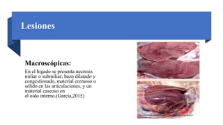 Lesiones
Macroscópicas:
En el hígado se presenta necrosis
miliar o submiliar; bazo dilatado y
congestionado, material cremoso o
sólido en las articulaciones, y un
material caseoso en
el oído interno.(García,2015)
https://www.monografias.com/trabajos104/consideraciones-generales-del-colera-
aviar/image009.jpg
 