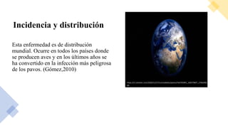 Incidencia y distribución
Esta enfermedad es de distribución
mundial. Ocurre en todos los países donde
se producen aves y en los últimos años se
ha convertido en la infección más peligrosa
de los pavos. (Gómez,2010)
https://s1.eestatic.com/2020/12/27/curiosidades/paises/546705893_168379607_1706x960.j
pg
 