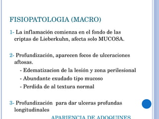 FISIOPATOLOGIA (MACRO) 1-  La inflamación comienza en el fondo de las criptas de Lieberkuhn, afecta solo MUCOSA. 2-  Profundización, aparecen focos de ulceraciones aftosas. - Edematizacion de la lesión y zona perilesional - Abundante exudado tipo mucoso - Perdida de al textura normal  3-  Profundización  para dar ulceras profundas longitudinales  APARIENCIA DE ADOQUINES 