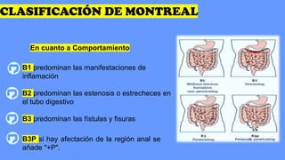 Montrel Classification Enfermedad de crohn | PDF