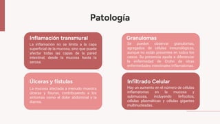 Patología
Inflamación transmural
La inflamación no se limita a la capa
superficial de la mucosa, sino que puede
afectar todas las capas de la pared
intestinal, desde la mucosa hasta la
serosa.
Se pueden observar granulomas,
agregados de células inmunológicas,
aunque no están presentes en todos los
casos. Su presencia ayuda a diferenciar
la enfermedad de Crohn de otras
enfermedades intestinales inflamatorias.
La mucosa afectada a menudo muestra
úlceras y fisuras, contribuyendo a los
síntomas como el dolor abdominal y la
diarrea.
Hay un aumento en el número de células
inflamatorias en la mucosa y
submucosa, incluyendo linfocitos,
células plasmáticas y células gigantes
multinucleadas.
Úlceras y fístulas
Granulomas
Infiltrado Celular
 