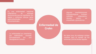 Enfermedad de
Crohn
Es una enfermedad intestinal
inflamatoria de etiología
desconocida que se manifiesta con
signos y síntomas clínicas tanto
gastrointestinales como
extraintestinales
La enfermedad se caracteriza
por inflamación, causada
principalmente por una
disregulación inmune.
Algunas manifestaciones
histopatológicas incluyen
infiltrado inflamatorio,
úlceras, patrón en
empedrado y granulomas
No tiene cura, sin embargo existen
medidas para el manejo de los
síntomas y de los brotes agudos
 