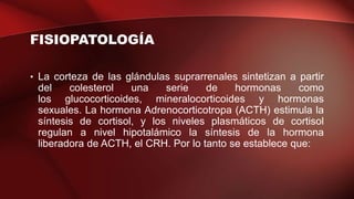 FISIOPATOLOGÍA
• La corteza de las glándulas suprarrenales sintetizan a partir
del colesterol una serie de hormonas como
los glucocorticoides, mineralocorticoides y hormonas
sexuales. La hormona Adrenocorticotropa (ACTH) estimula la
síntesis de cortisol, y los niveles plasmáticos de cortisol
regulan a nivel hipotalámico la síntesis de la hormona
liberadora de ACTH, el CRH. Por lo tanto se establece que:
 
