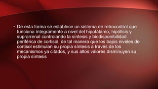 • De esta forma se establece un sistema de retrocontrol que
funciona íntegramente a nivel del hipotálamo, hipófisis y
suprarrenal controlando la síntesis y biodisponibilidad
periférica de cortisol, de tal manera que los bajos niveles de
cortisol estimulan su propia síntesis a través de los
mecanismos ya citados, y sus altos valores disminuyen su
propia síntesis
 