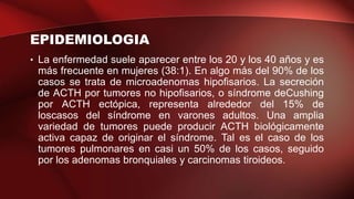 EPIDEMIOLOGIA
• La enfermedad suele aparecer entre los 20 y los 40 años y es
más frecuente en mujeres (38:1). En algo más del 90% de los
casos se trata de microadenomas hipofisarios. La secreción
de ACTH por tumores no hipofisarios, o síndrome deCushing
por ACTH ectópica, representa alrededor del 15% de
loscasos del síndrome en varones adultos. Una amplia
variedad de tumores puede producir ACTH biológicamente
activa capaz de originar el síndrome. Tal es el caso de los
tumores pulmonares en casi un 50% de los casos, seguido
por los adenomas bronquiales y carcinomas tiroideos.
 