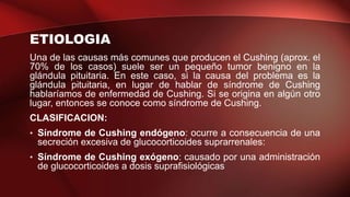 ETIOLOGIA
Una de las causas más comunes que producen el Cushing (aprox. el
70% de los casos) suele ser un pequeño tumor benigno en la
glándula pituitaria. En este caso, si la causa del problema es la
glándula pituitaria, en lugar de hablar de síndrome de Cushing
hablaríamos de enfermedad de Cushing. Si se origina en algún otro
lugar, entonces se conoce como síndrome de Cushing.
CLASIFICACION:
• Síndrome de Cushing endógeno: ocurre a consecuencia de una
secreción excesiva de glucocorticoides suprarrenales:
• Síndrome de Cushing exógeno: causado por una administración
de glucocorticoides a dosis suprafisiológicas
 