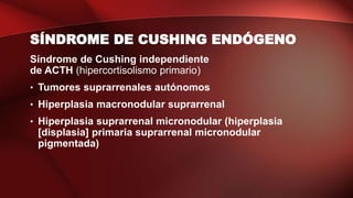 SÍNDROME DE CUSHING ENDÓGENO
Síndrome de Cushing independiente
de ACTH (hipercortisolismo primario)
• Tumores suprarrenales autónomos
• Hiperplasia macronodular suprarrenal
• Hiperplasia suprarrenal micronodular (hiperplasia
[displasia] primaria suprarrenal micronodular
pigmentada)
 