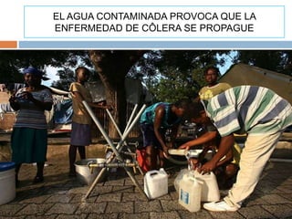 EL AGUA CONTAMINADA PROVOCA QUE LA
ENFERMEDAD DE CÔLERA SE PROPAGUE
 