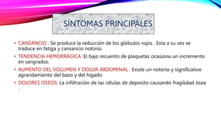SÍNTOMAS PRINCIPALES
• CANSANCIO : Se produce la reducción de los glóbulos rojos . Esta a su vez se
traduce en fatiga y cansancio notorio.
• TENDENCIA HEMORRÁGICA :El bajo recuento de plaquetas ocasiona un incremento
en sangrados.
• AUMENTO DEL VOLUMEN Y DOLOR ABDOMINAL : Existe un notorio y significativo
agrandamiento del bazo y del hígado
• DOLORES OSEOS: La infiltración de las células de deposito causando fragilidad ósea
.
 