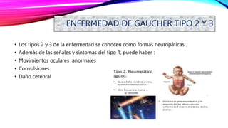 ENFERMEDAD DE GAUCHER TIPO 2 Y 3
• Los tipos 2 y 3 de la enfermedad se conocen como formas neuropáticas .
• Además de las señales y síntomas del tipo 1, puede haber :
• Movimientos oculares anormales
• Convulsiones
• Daño cerebral
 