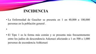 INCIDENCIA
• La Enfermedad de Gaucher se presenta en 1 en 40,000 a 100,000
personas en la población general .
•
• El Tipo 1 es la forma más común y se presenta más frecuentemente
entre los judíos de descendencia Askenazi afectando a 1 en 500 a 1,000
personas de ascendencia Ashkenazi
 