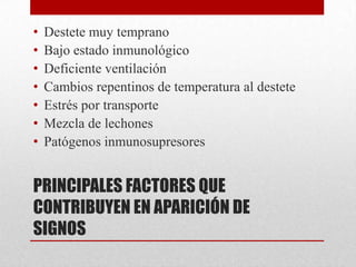 •
•
•
•
•
•
•

Destete muy temprano
Bajo estado inmunológico
Deficiente ventilación
Cambios repentinos de temperatura al destete
Estrés por transporte
Mezcla de lechones
Patógenos inmunosupresores

PRINCIPALES FACTORES QUE
CONTRIBUYEN EN APARICIÓN DE
SIGNOS

 