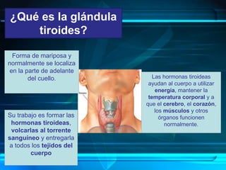 ¿Qué es la glándula
tiroides?
Forma de mariposa y
normalmente se localiza
en la parte de adelante
del cuello. Las hormonas tiroideas
ayudan al cuerpo a utilizar
energía, mantener la
temperatura corporal y a
que el cerebro, el corazón,
los músculos y otros
órganos funcionen
normalmente.
Su trabajo es formar las
hormonas tiroideas,
volcarlas al torrente
sanguíneo y entregarla
a todos los tejidos del
cuerpo
 