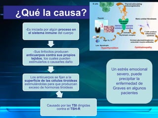 ¿Qué la causa?
Un estrés emocional
severo, puede
precipitar la
enfermedad de
Graves en algunos
pacientes
-Es iniciada por algún proceso en
el sistema inmune del cuerpo
-Sus linfocitos producen
anticuerpos contra sus propios
tejidos, los cuales pueden
estimularlos o causarles daño
Los anticuerpos se fijan a la
superficie de las células tiroideas
estimulándolas para que produzcan
exceso de hormonas tiroideas
Causado por las TSI dirigidas
contra el TSH-R
 