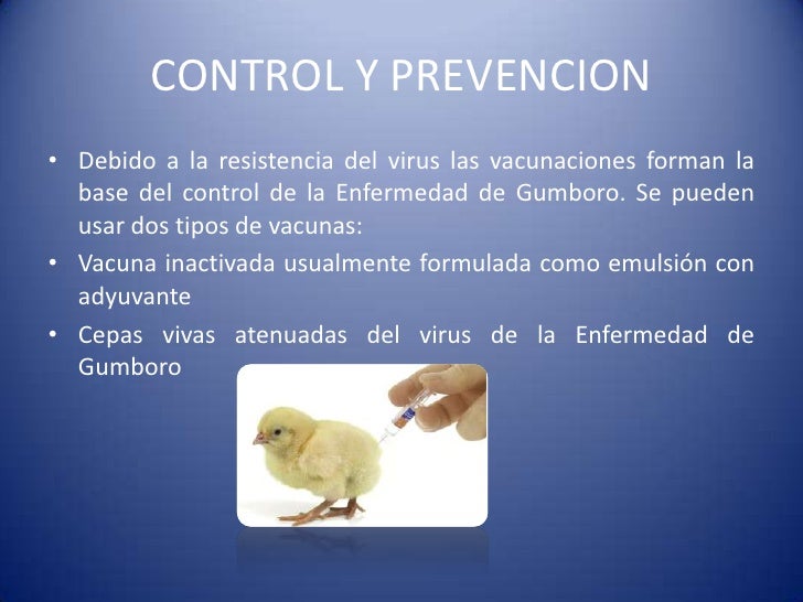 Enfermedad de gumboro