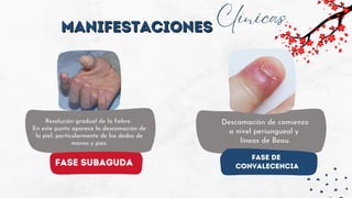 fase subaguda
MANIFESTACIONES
MANIFESTACIONES
Clínicas
Resolución gradual de la fiebre.
En este punto aparece la descamación de
la piel, particularmente de los dedos de
manos y pies.
Fase de
convalecencia
Descamación de comienzo
a nivel periungueal y
líneas de Beau.
 