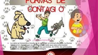 Enfermedad de la rabia en caninos | PPTX