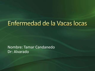 Nombre: Tamar Candanedo
Dr: Alvarado
 