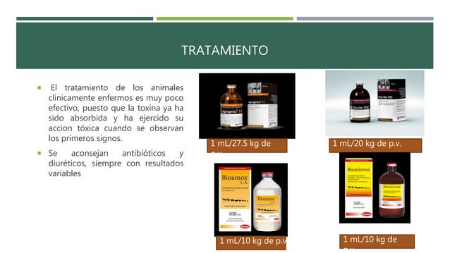 Enfermedad de los edemas en cerdos