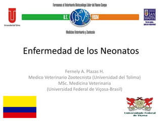 Enfermedad de los Neonatos
Fernely A. Plazas H.
Medico Veterinario Zootecnista (Universidad del Tolima)
MSc. Medicina Veterinaria
(Universidad Federal de Viçosa-Brasil)
 