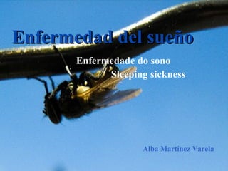 Enfermedad del sueño Enfermedade do sono Sleeping sickness Alba Martínez Varela 