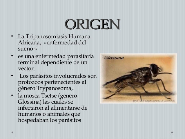 Enfermedad del sueño