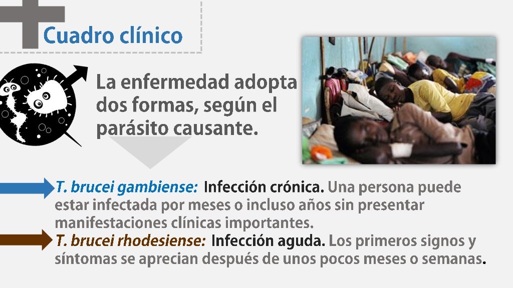 Enfermedad del Sueño: Tripanosomiasis Africana