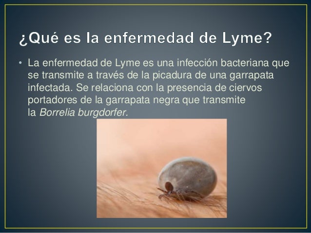 Enfermedad de lyme