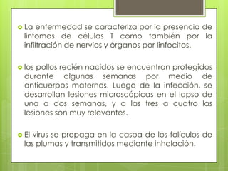 La enfermedad se caracteriza por la presencia de linfomas de células T como también por la infiltración de nervios y órganos por linfocitos.los pollos recién nacidos se encuentran protegidos durante algunas semanas por medio de anticuerpos maternos. Luego de la infección, se desarrollan lesiones microscópicas en el lapso de una a dos semanas, y a las tres a cuatro las lesiones son muy relevantes. El virus se propaga en la caspa de los folículos de las plumas y transmitidos mediante inhalación.